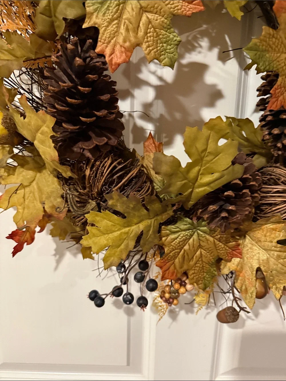 Ashland elegant fall